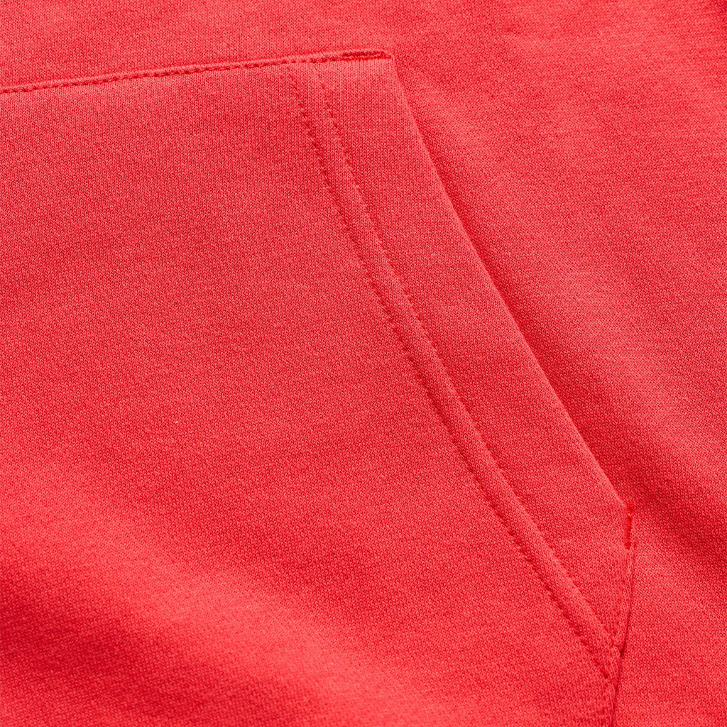 Youth Pullover Hoodie Badge Scarlet
