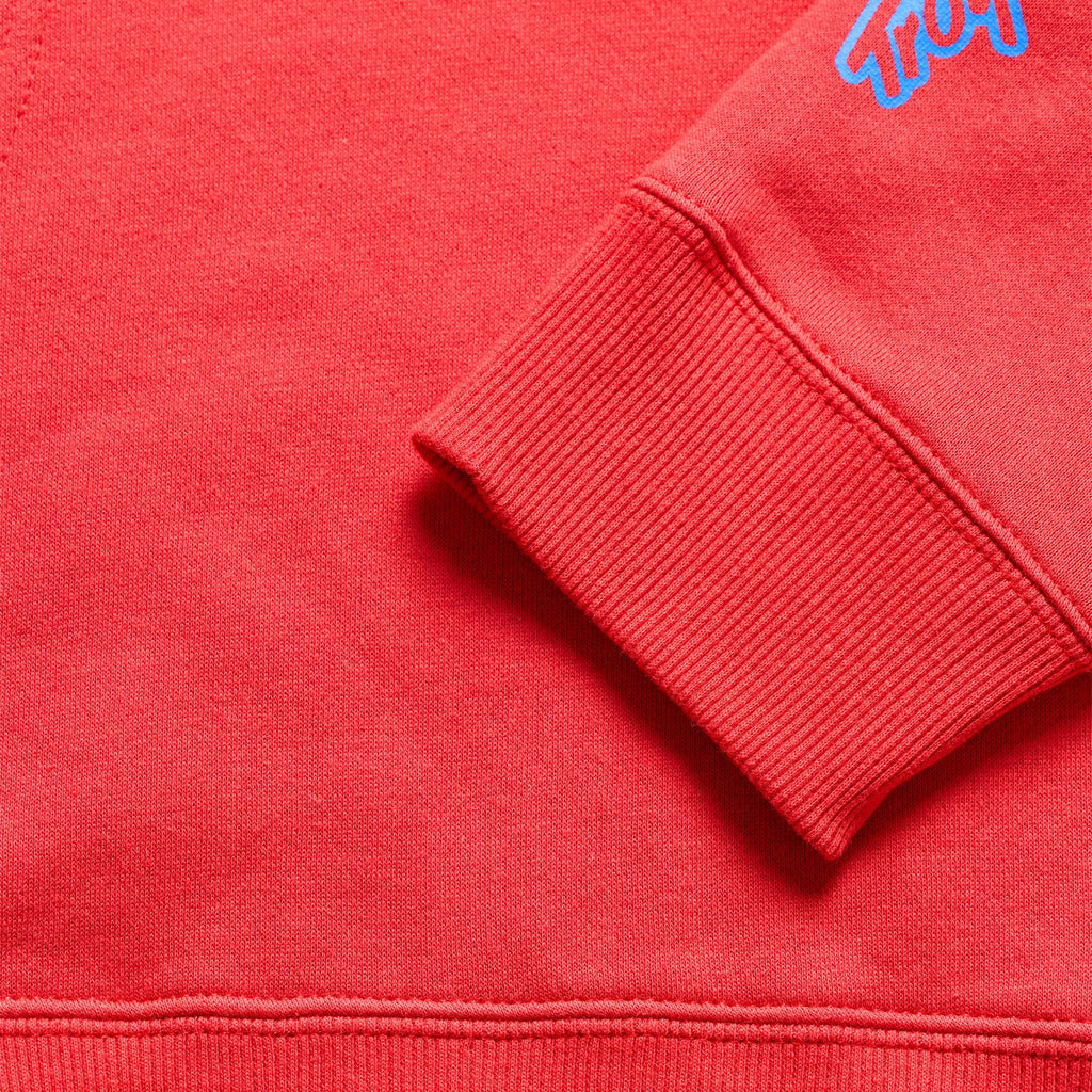 Youth Pullover Hoodie Badge Scarlet